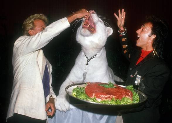 Archivbilder der Woche KW20 Siegfried & Roy 1987 Siegfried & Roy, 1987, Photo By John Barrett PHOTOlink EDITORIAL USE ONLY Copyright: xx PhotoxByxJohnxBarrett PHOTOlinkx phlphotos408987