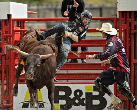 (240519) -- SURREY, May 19, 2024 -- A participant performs in the bull riding at the rodeo performance of the 76th annual Cloverdale Rodeo and Country Fair in Surrey, British Columbia, Canada, May 18, 2024. (Photo by Xinhua) (SP)CANADA-SURREY-CANADA-RODEO PERFORMANCE AndrewxSoong 