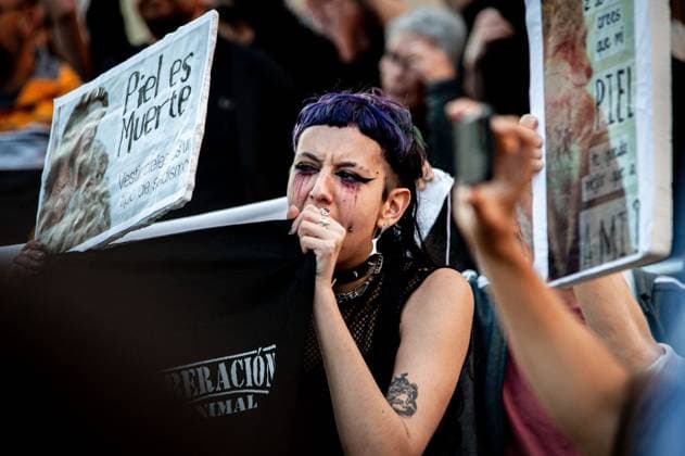 May 23, 2024, Barcelona, Spain: An animal rights activist demonstrates against Louis Vuitton in Barcelona. Barcelona residents gathered around Park GoÂ¼ell in Barcelona against the Louis Vuitton fashion show and protesting various social issues such as mass tourism, gentrification, animal rights or the commercialization and privatization of public spaces by the city council. Barcelona Spain - ZUMAb137 20240523_fap_b137_015 Copyright: xJordixBoixareux
