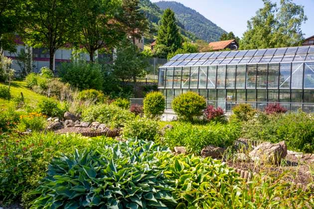 IMAGO Creative: Garten, Anbau im Gewächshaus Greenhouse at sunny day in Pfafers in Canton of St. Gallen, Eastern Switzerland, Switzerland, MAMF03092