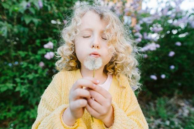 Creative Highlights Symbolbilder Blond curly haired girl blowing on dandelion flower seeds model released, Symbolfoto, SIF01084
