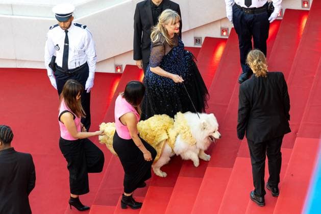 Cannes - Closing Ceremony Arrivals Guest attends the Red Carpet of the closing ceremony at the 77th annual Cannes Film Festival at Palais des Festivals on May 25, 2024 in Cannes, France. Photo by Cyril Chateau ABACAPRESS.COM Cannes France  Copyright: xChateauxCyril ABACAx