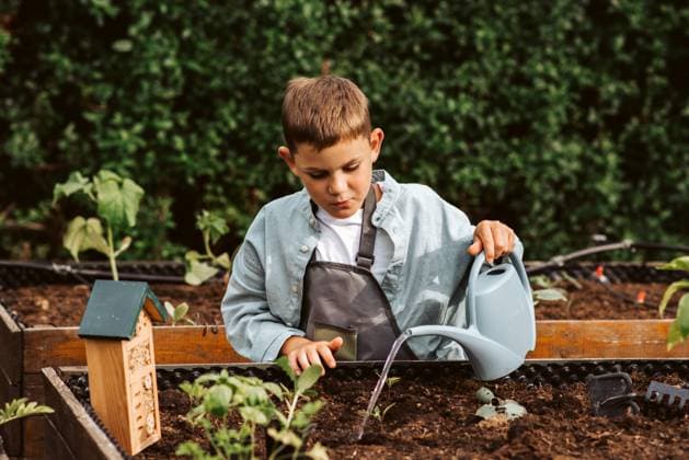 IMAGO Creative: Garten, Anbau im Hochbeet Boy taking care of small vegetable plants in raised bed with bare hands. Childhood outdoors in garden. Young boy taking care of small vegetable plants in raised bed with bare hands. Childhood outdoors in garden. model released