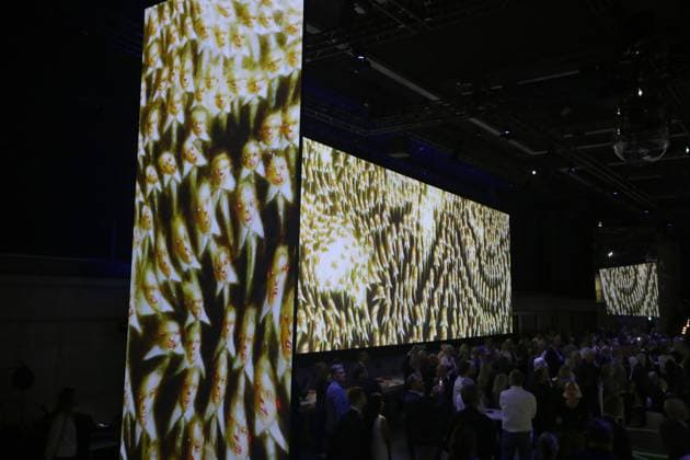 27 05 2024 Dortmund, opening of special exhibition In Motion Art Football The immersive show will be open to the public from 28 May in the arena of the DFB Football Museum It will run until January 2025