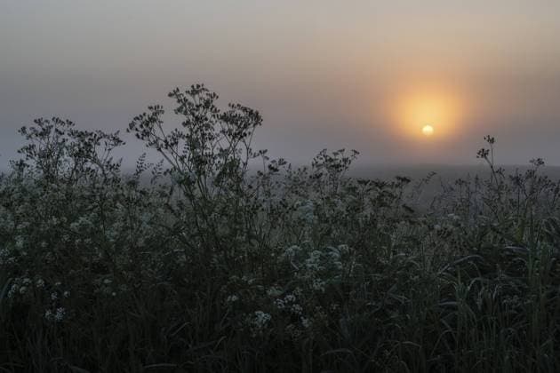 Sunrise in the moor, Lower Saxony, Germany, Europe *** Sunrise in The moor, Lower Saxony, Germany, Europe Copyright: imageBROKER ErhardxNerger ibxenh10705609.jpg