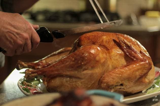 Carving the holiday turkey, festive dinner moment United States, Washington, Everett R_XICN24041574-1400967-01