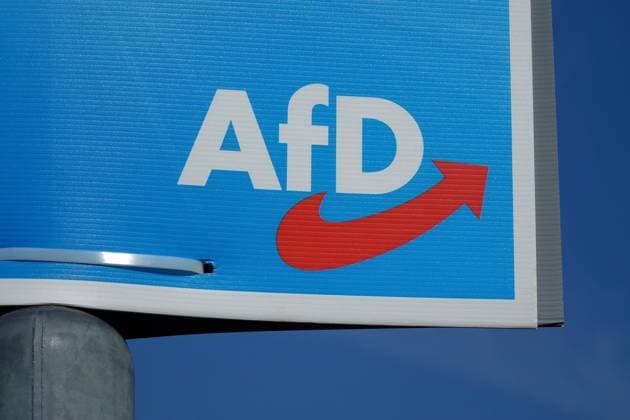 Wahlplakat der AfD Wahlplakat der AfD, 08.06.2024, Borkwalde, Brandenburg, Für eine Wahl wurde ein Wahlkplakat der AfD aufgehängt. *** AfD election poster AfD election poster, 08 06 2024, Borkwalde, Brandenburg, An AfD election poster was put up for an election