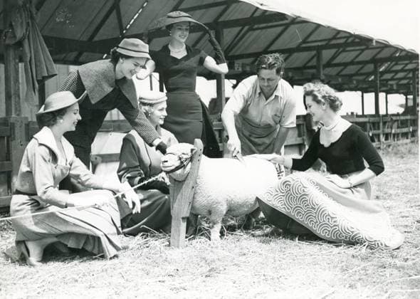 Archivbilder der Woche KW24 June 24, 1969: Dusseldorf, Germany: Mr. L. WARD of Chichester does a spot of sheep sheering on a South Down Sheep, watched by some of the models a they wear the new styles at Windsor this afternoon. The dresses worn are L-R: R, A. GREEN and White Hair Isle Tweed Dress jacket by DIGBY MORTON. A Black and tan tweed suit and matching jacket by GRAYSON, a Red Velour fitted and matching jacket by GRAYSON, a red velour fitted jacket by RONALD PATTERSON. Winsdsor United Kingdom - ZUMAk09_ 19700606_jtc_k09_617 Copyright: xKeystonexPressxAgencyx