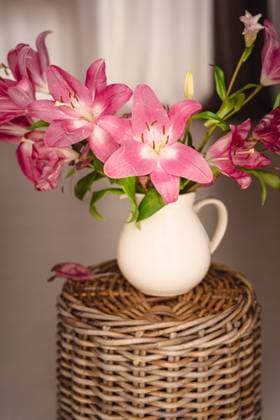 A white ceramic jug filled with vibrant pink lilies positioned on a woven wicker stand, against a soft backdrop. Model Released IsabelAlcala_ID21891_641463_006 Copyright: xIsabelxAlcalax RECORD DATE NOT STATED