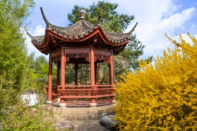 traditioneller chinesischer Pavillon, chinesischer Garten, Gärten der Welt, Berlin, Deutschland mcpins *** traditional chinese pavilion, chinese garden, gardens of the world, Berlin, Germany mcpins mcpins