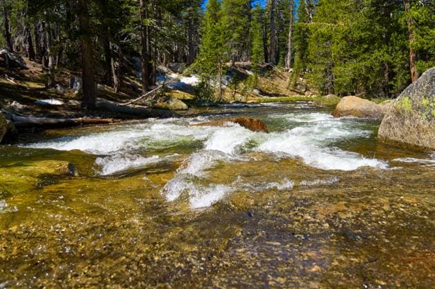 Creative Highlights World Yosemite National Park, California, United States of America - June 11, 2024: A mountain stream runs through Yosemite National Park in the USA, surrounded by pine trees and rock formations *** Durch den Yosemite Nationalpark in den USA läuft ein Gebirgsbach, umgeben von Kiefern und Felsformationen