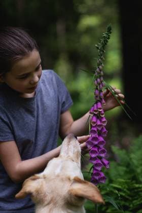 IMAGO Creative, Sommer, Sommertage im Garten The girl shows her dog a flower in the forest Stein, Bavaria, Germany R_MZYLOL240618-1457327-01 ,model released, Symbolfoto