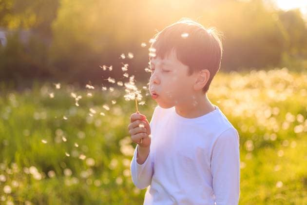 IMAGO Creative: Sommer, Sommertage im Stadtpark A boy blows up a dandelion in the sunset light. Summer flowers. a summer evening. evening sunset light . happy childhood A boy blows up a dandelion in the sunset light. Summer flowers. a summer evening. evening sunset light . happy childhood. High quality photo ,model released, Symbolfoto Copyright: xZoonar.com ?????x??????x 21759049 ,model released, Symbolfoto ,property released