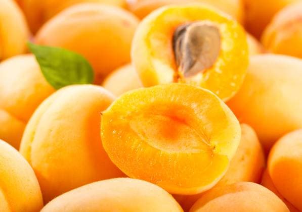 fresh apricots ,model released, Symbolfoto; Frisch Aprikosen ,model released, Symbolfoto ING_36820_00329 RECORD DATE NOT STATED