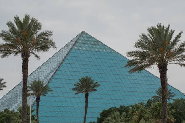 Creative Highlights World Modern glass pyramid behind tall palm trees in Galveston, Texas. Galveston, Texas, United States R_MWTZ240613-1456288-01 EDITORIAL USE ONLY
