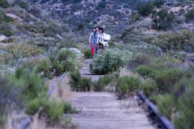 JACUMBA HOT SPRINGS, CA - JUNE 24: Migrants cross into U.S. from Mexico through an abandoned railroad on June 24, 2024 in Jacumba Hot Springs, San Diego, California.  Copyright: xVCGx 111503898909