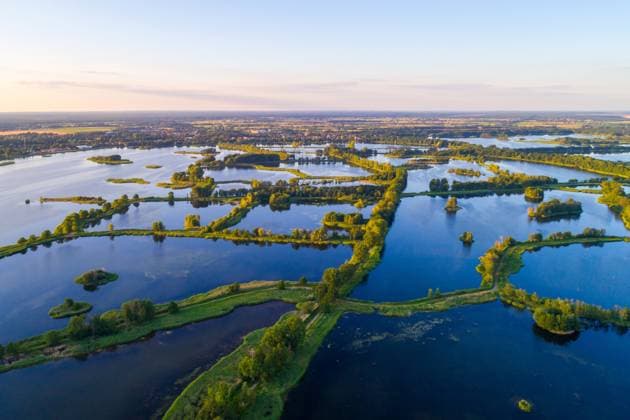 Peitzer Teichlandschaft DEU Deutschland Brandenburg Maust, 24.06.2024, Peitzer Teichlandschaft in der Abendsonne. Peitzer Fischteiche, Karpfen- und Fischzuchtteiche der Peitzer Fischer (Peitzer Edelfisch), Luftaufnahme mit einer Drohne. *** Peitzer Teichlandschaft DEU Germany Brandenburg Maust, 24 06 2024, Peitzer Teichlandschaft in the evening sun Peitzer fish ponds, carp and fish breeding ponds of the Peitzer fishermen Peitzer Edelfisch , aerial view with a drone AF_Peitzer_Teiche_79099.jpeg