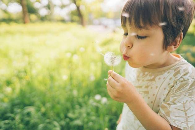 Creative Highlights Symbolbilder Boy blowing dandelion flower at lawn model released, Symbolfoto, ASVF00031