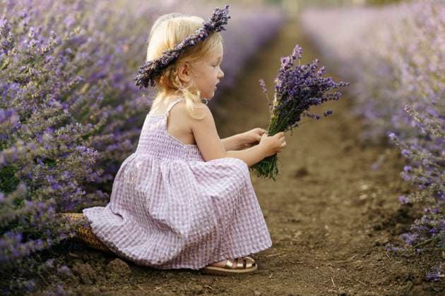 Creative Highlights Symbolbilder Cute girl holding bunch of flowers and crouching in lavender field model released, Symbolfoto, NSTF00159