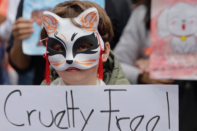Organizations March In Favor Of Animals In Mexico City A minor is wearing a cat mask and is accompanying various organizations in favor of animal rights, who are holding a protest in the rain at the Angel of Independence at the Zocalo in Mexico City, Mexico, expressing their repudiation of mistreatment and cruelty towards animals. Mexico City Mexico City Mexico  Copyright: xGerardoxVieyrax originalFilename: vieyra-notitle240630_npwQs.jpg