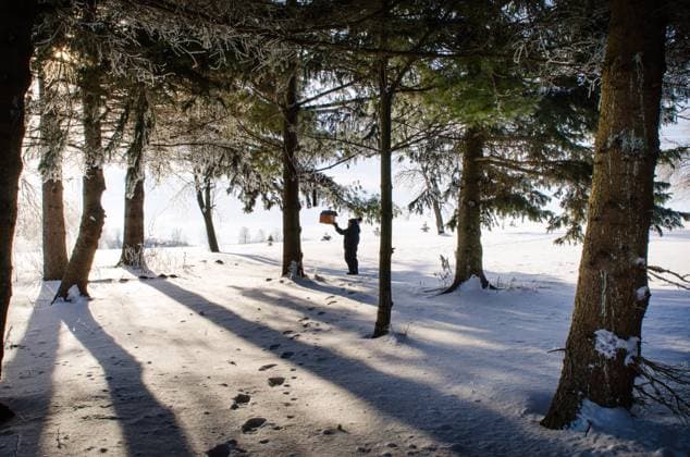Toddler checking on birdhouse in a snowy forest with long shadows. Wingham, Ontario, Canada CR_ATBL240617F0-1449735-01 ,model released, Symbolfoto