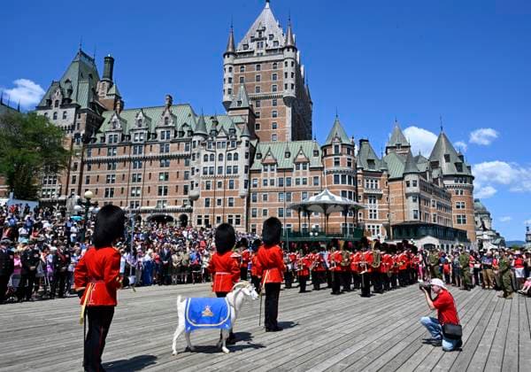 July 1, 2024, Quebec, Pq, Canada: Batisse the goat, the mascot of the Vandoos, stands as the music of the Royal 22nd Regiment plays during Canada Day celebrations on the Dufferin Terrasse in front of the Chateau Frontenac, Monday, July 1, 2024 in Quebec City. Quebec Canada  - ZUMAc35_ 20240701_zaf_c35_039 Copyright: xJacquesxBoissinotx