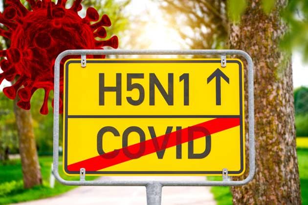 Germany - 02 July 2024: Traffic sign with virus(es) in the background. Covid-19 or Corona is crossed out, H5N1 is marked with an arrow and symbolizes the fear of the beginning of a new pandemic worldwide. PHOTOMONTAGE *** Verkehrsschild mit Virus bzw. Viren im Hintergrund. Covid-19 bzw. Corona ist durchgestrichen, H5N1 steht mit Pfeil dran und symbolisiert die Angst um den Anfang einer neuen Pandemie weltweit. FOTOMONTAGE