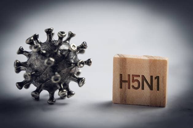 Germany - 02 July 2024: Viruses next to a wooden plaque with the inscription: H5N1. Symbolizes bird flu virus, in dark color the danger of transmission and spread to humans and animals. Danger of a new pandemic. PHOTOMONTAGE *** Viren bzw. Virus neben einer Holztafel mit Aufschrift: H5N1. Symbolisiert Vogelgrippe Virus, in dunklem Farbton die Gefahr durch Übertragung und Ausbreitung auf Mensch und Tier. Gefahr vor neuer Pandemie. FOTOMONTAGE