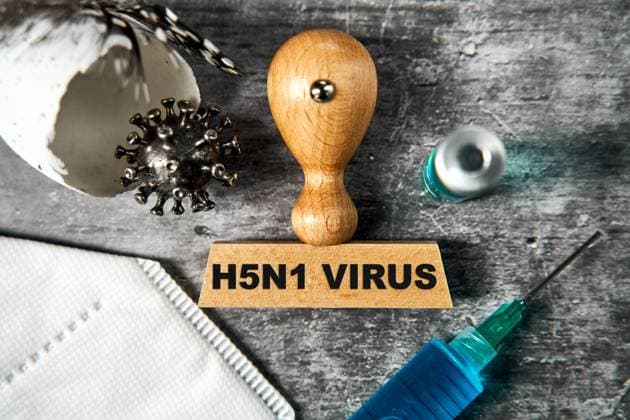 Germany - 02 July 2024: A broken or cracked egg, a wooden stamp with the inscription H5N1 - virus, bird flu, influenza A virus, a syringe (vaccine vaccination). These elements symbolize the control and investigation of the H5N1 virus, which is considered a potential threat to the health of both animals and humans and can trigger a pandemic. PHOTOMONTAGE *** Ein kaputtes bzw. gebrochenes Ei, einen Holzstempel mit der Aufschrift H5N1 - Virus, Vogelgrippe, Influenza-A-Virus, eine Spritze (Impfstoff Impfung). Diese Elemente symbolisieren die Bekämpfung und Untersuchung des H5N1-Virus, das als potenzielle Bedrohung für die Gesundheit sowohl von Tieren als auch Menschen gilt und eine Pandemie auslösen kann. FOTOMONTAGE