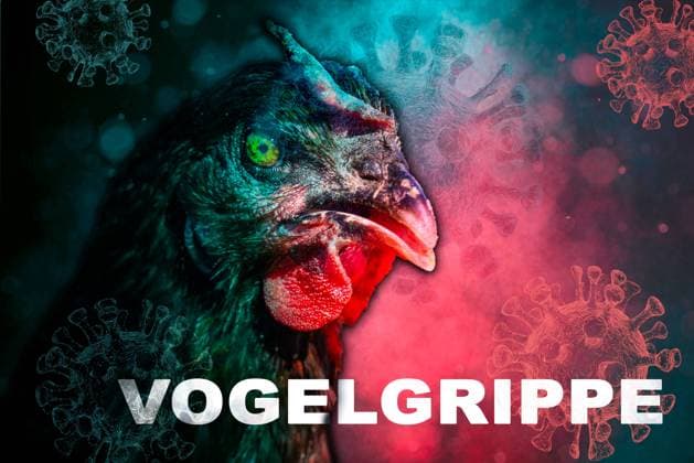 Germany - 02 July 2024: A bird surrounded by threatening viruses, impressively illustrating the drama and danger of avian influenza (H5N1 - Influenza A virus). It emphasizes the urgent need for protective measures and prevention to contain the spread of infection and ensure animal and human health. PHOTOMONTAGE *** Ein Vogel, der von bedrohlichen Virus bzw. Viren umgeben ist, was die Dramatik und Gefahr der Vogelgrippe (H5N1 - Influenza-A-Virus) eindrucksvoll darstellt. Es betont die dringende Notwendigkeit von Schutzmaßnahmen und Prävention zur Eindämmung der Infektionsausbreitung und zur Sicherstellung der Tiergesundheit und des Menschen. FOTOMONTAGE