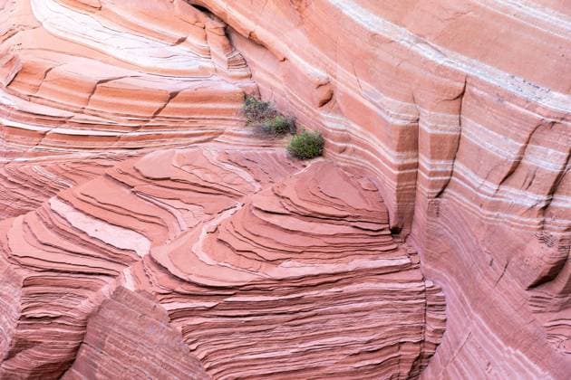 Creative Highlights World Striking patterns and textures of layered red sandstone formations, gently carved by natural forces, standing in a vast desert setting Soft pink tones and desert vegetation add to the natural allure Model Released JuanLopez_ID22640_660312_001 Copyright: xJuanxLopezx