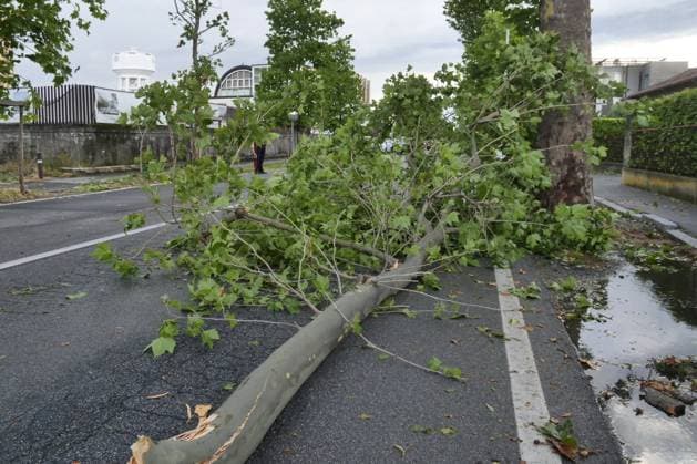 Summer 2024 another water bomb in Lombardy with hailstorms, gusts of wind and strong thunderstorms Summer 2024 with very strong thunderstorms characterized by gusts of wind and hailstorms that cause extensive damage in the area Bergamo Bergamo Italy Italy  Copyright: xIPA ABACAx
