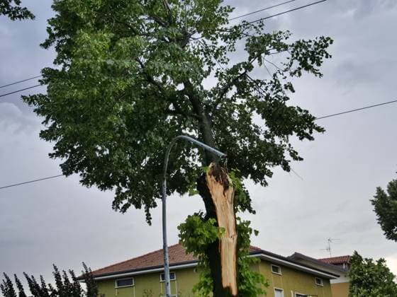 Summer 2024 another water bomb in Lombardy with hailstorms, gusts of wind and strong thunderstorms Summer 2024 with very strong thunderstorms characterized by gusts of wind and hailstorms that cause extensive damage in the area Bergamo Bergamo Italy Italy  Copyright: xIPA ABACAx