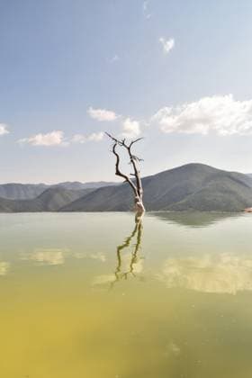 Creative Highlights World Natural pool of Hierve el Agua reflecting bare tree in Oaxaca Oaxaca, Oaxaca, Mexico R_MOHY2407165B-1487065-01
