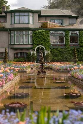 Spring blossom garden borders a fountain in Butchart Gardens, BC. Canada, British Columbia, Brentwood Bay R_PKZL240715-1485408-01 EDITORIAL USE ONLY