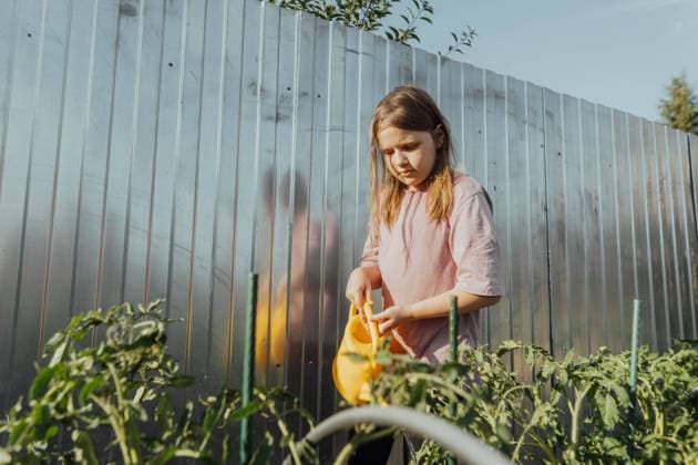 Creative Highlights Symbolfotos Young girl is watering greens in vegetable garden on sunny day Novosibirsk, Novosibirsk Oblast, Russia CR_IRIR240718-1490207-01 ,model released, Symbolfoto