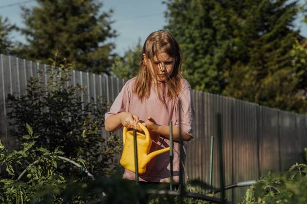 IMAGO Creative, Sommer, Sommertage im Garten Girl watering plants in the garden with yellow watering can at sunset Novosibirsk, Novosibirsk Oblast, Russia CR_IRIR240718-1490208-01 ,model released, Symbolfoto