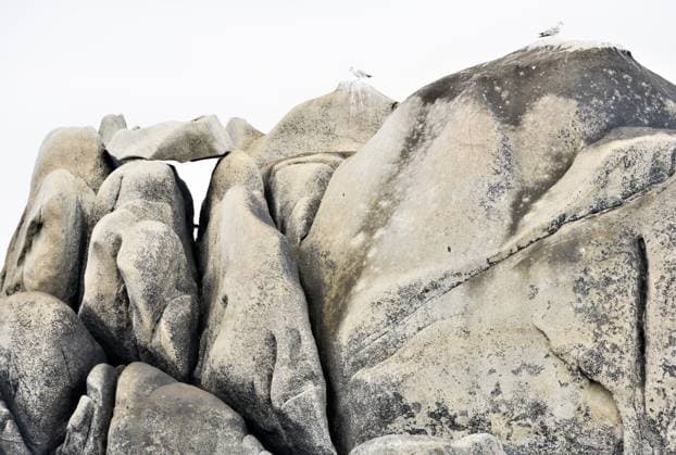 Creative Highlights World A clear and striking landscape of huge interlocking granite boulders dominated by a soft, whitish hue Two seagulls rest above, each facing a different direction, enhancing the calm but alert essence of the scene Model Released CesarLlaneza_ID22855_665232_001 Copyright: xCesarxLlanezax RECORD DATE NOT STATED