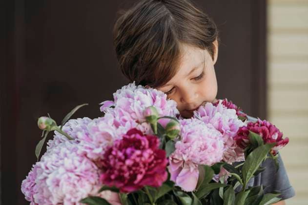 Creative Highlights Symbolfotos Cute boy with bouquet of peonies model released, Symbolfoto, ANAF03314