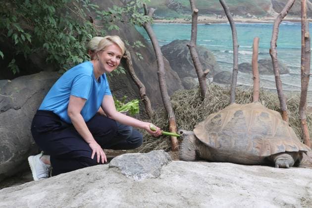 News Themen der Woche KW 30 News Bilder des Tages Die Ministerpräsidentin des Landes Mecklenburg Vorpommern und amtierende Bundesratspräsidentin Manuela Schwesig besucht am Freitag (26.07.2024) in der Hanse- und Universitätsstadt Rostock den örtlichen Zoo. Dort eröffnet sie den Landeszootag. An dem Tag bieten die Zoos und Tierparks im Land besondere Programme für ihre Besucherinnen und Besucher an. Für alle Kinder und Jugendlichen bis einschließlich 14 Jahren ist der Eintritt frei. Dahingehend besucht die Regierungschefin die Meereswelten und Eiswelten. Dazu nimmt sie an der Fütterung eines Kraken und der Eisbären teil. Außerdem füttert sie selbst die Galapagos-Riesenschildkröten mit Stangensellerie (Hier im Bild). *** The Minister President of Mecklenburg-Vorpommern and incu