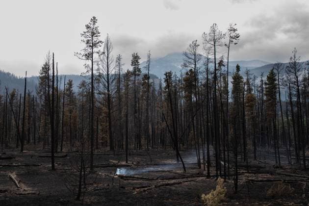 July 26, 2024, Jasper, Ab, CANADA: A spot smoulders in the forest outside Jasper, Alta., on Friday July 26, 2024. Wildfires encroaching into the townsite of Jasper forced an evacuation of the national park and have destroyed over 300 of the town s approximately 1100 structures, mainly impacting residential areas. Jasper CANADA  - ZUMAc35_ 20240726_zaf_c35_160 Copyright: xAmberxBrackenx