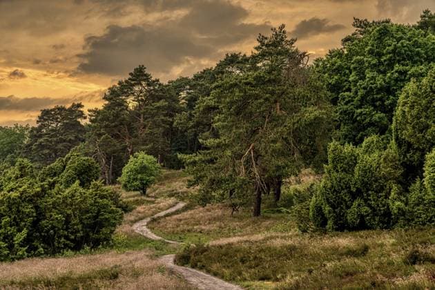 Evening clouds after a thunderstorm in the Lueneburg Heath landscape near Niederhaverbeck, Lower Saxony, Germany, Europe Copyright: imageBROKER BerndxBrueggemann ibxiqx10434265.jpg