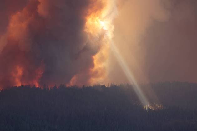 Bilder des Jahres 2024, News 07 Juli News Themen der Woche KW 30 Fires Rage Across US West Handout photo shows firefighters battling against to flames on July 26, 2024 in California, USA. California s largest active fire exploded in size on Friday evening, growing rapidly amid bone-dry fuel and threatening thousands of homes as firefighters scrambled to meet the danger. The Park Fire s intensity and rapid spread led fire officials to make unwelcome comparisons to the monstrous Camp Fire, which burned out of control in nearby Paradise in 2018, killing 85 people and torching 11,000 homes. More than 130 structures have been destroyed by this fire so far, and thousands more remain threatened. It stood at 374 square miles (967 square kilometers) on Friday night and was moving fast after igniting Wednesday whe  Copyright: xABACAx