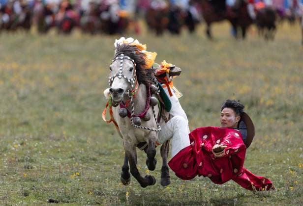 News Themen der Woche KW31 News Bilder des Tages (240730) -- LITANG, July 30, 2024 -- A rider demonstrates his skills at a racecourse in Litang County, the Tibetan Autonomous Prefecture of Garze, southwest China s Sichuan Province, July 30, 2024. A horse racing event kicked off in Litang County on Tuesday, attracting nearly 1,000 herdsmen from across the county to participate in a variety of activities. ) (SichuanMosaics)CHINA-SICHUAN-GARZE-HORSE RACING (CN) JiangxHongjing 