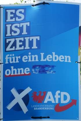 Afd GER, Deutschland, 20240801,Wahlplakat, AfD in Brandenburg *** Afd GER, Germany, 20240801,election poster, AfD in Brandenburg