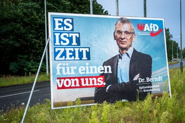 Landtagswahlkampf in Brandenburg startet DEU Deutschland Brandenburg Cottbus, 02.08.2024, Ein Wahlplakat von Christoph Bernd (Dr. Hans-Christoph Berndt, AFD), steht am Stadtrand von Cottbus an einer Strasse. Christoph Berndt ist der Spitzenkandidat der AFD Brandenburg. Die Landtagswahl findet in Brandenburg am 22. September 2024 statt. *** State election campaign in Brandenburg starts DEU Germany Brandenburg Cottbus, 02 08 2024, An election poster of Christoph Bernd Dr Hans Christoph Berndt, AFD , stands on a street on the outskirts of Cottbus Christoph Berndt is the top candidate of the AFD Brandenburg The state election in Brandenburg will take place on September 22, 2024 AF_Cottbus_88080