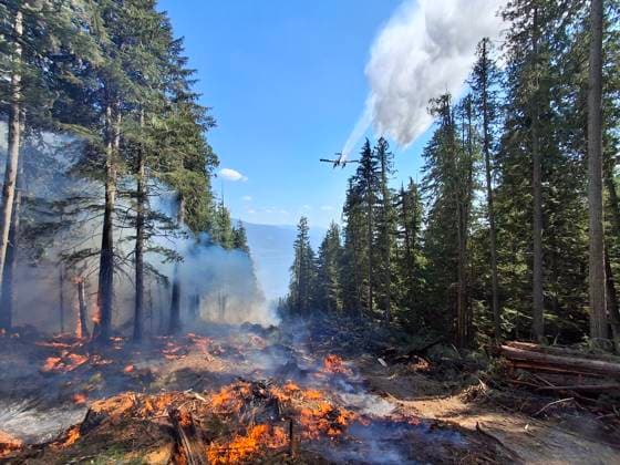 Kanada, Waldbrände in British Columbia (240804) -- BRITISH COLUMBIA, Aug. 4, 2024 -- This photo taken on Aug. 1, 2024 shows an aircraft dropping water over a wildfire site at Dry Creek, southeast of British Columbia, Canada. (BC Wildfire Service Handout via Xinhua) CANADA-WILDFIRES LinxWei 