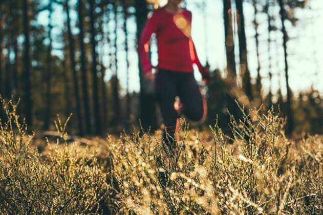 IMAGO Creative, Jahreszeit Herbst auf dem Land Basic Workout - Woman running off-trail in Nordic forest Mariefred, Södermanland County, Sweden R_NPLO240801E5-1501259-01 ,model released, Symbolfoto