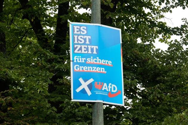Plakate der Parteien zur Landtagswahl in Brandenburg Plakate der Parteien zur Landtagswahl in Brandenburg in der Stadt Potsdam, AfD Berlin Berlin GER *** Posters of the parties for the state election in Brandenburg Posters of the parties for the state election in Brandenburg in the city of Potsdam, AfD Berlin Berlin GER