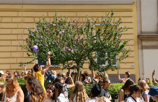 Fans of Taylor Swift in Vienna, Austria Fans of the singer Taylor Swift leave bracelets on a tree and collect others as they gather at Corneliusgasse Street following the cancellation of three Taylor Swift concerts at Happel stadium after the government confirmed a planned attack at the venue, in Vienna, Austria August 9, 2024.  JosipxMikacic PIXSELL